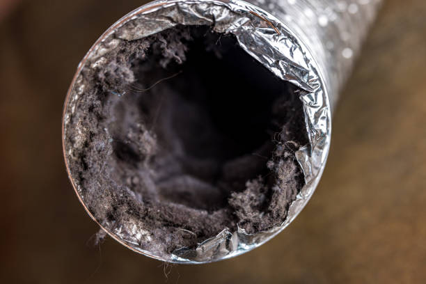 Best Best Air Duct Cleaning Company  in Roselle, NJ