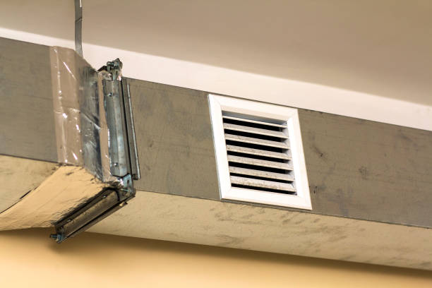 Best Professional Duct Cleaning Services  in Roselle, NJ